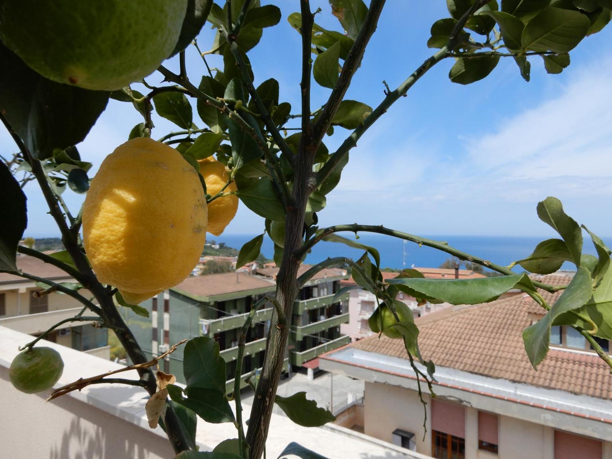 Middle Town Palace Tropea Εξωτερικό φωτογραφία
